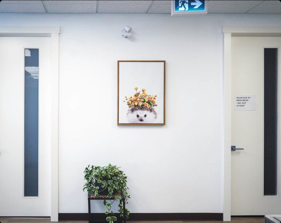 A treatment room at Max Physiotherapy