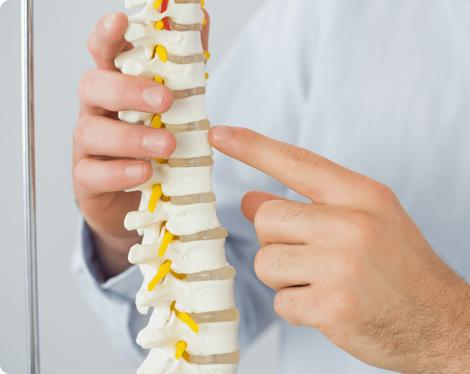 Chiropractic Care | Max Physiotherapy | Physiotherapy, Chiropractic, Massage and Health & Wellness Clinic | NE Calgary